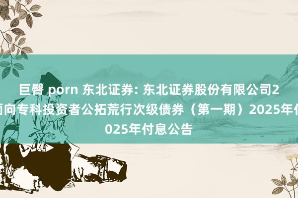 巨臀 porn 东北证券: 东北证券股份有限公司2024年面向专科投资者公拓荒行次级债券（第一期）2025年付息公告